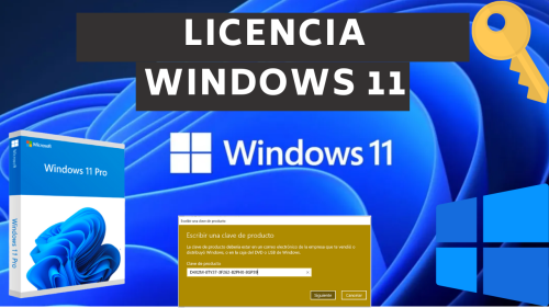 Licencia Windows 11